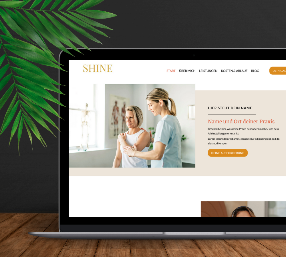 shine-wordpress-template bild 1