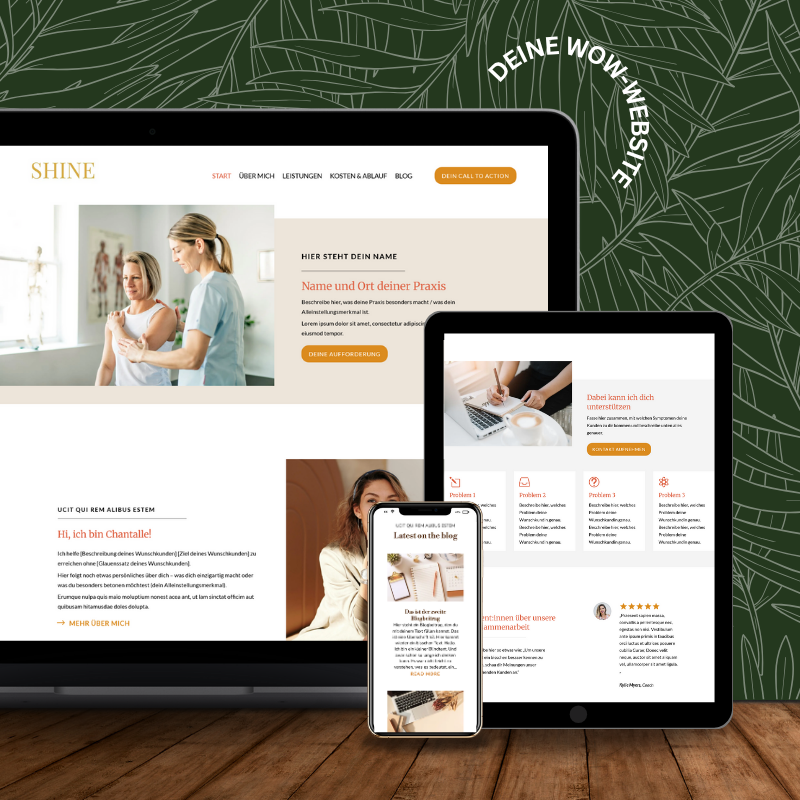website-template-shine 800x800px Website Template Blaze